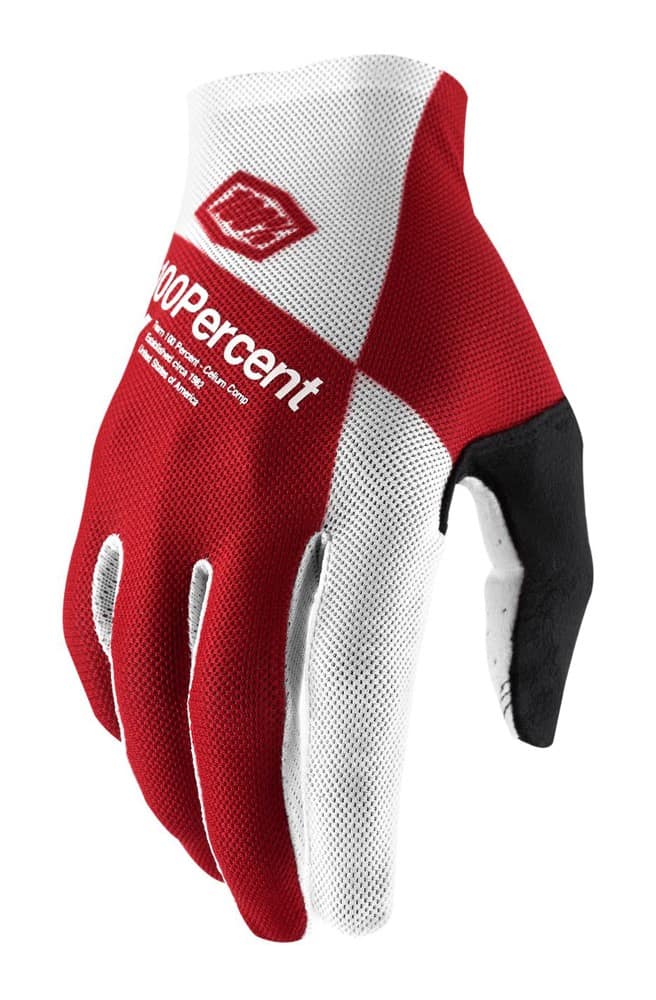 Pilnų pirštų pirštinės 100% CELIUM Glove cherry silver, dydis XL (delno ilgis 200-209 mm)