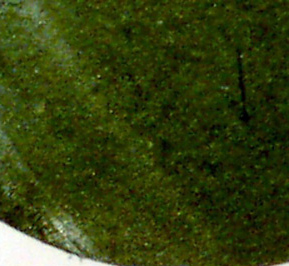 Grain structure inside of a split ceramic ball bearing at 200X