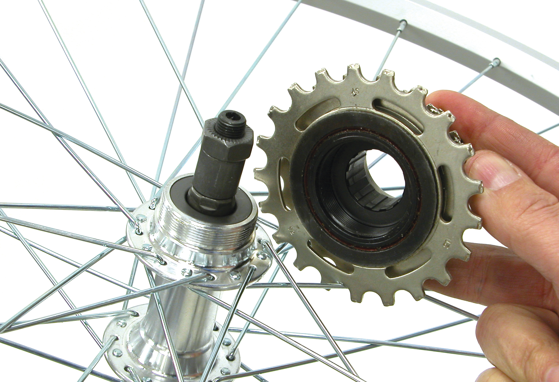 Freewheel system
