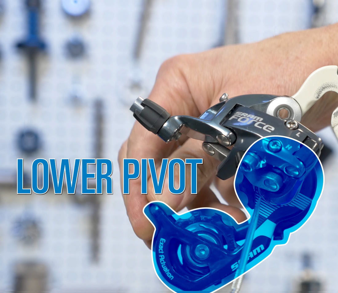 Derailleur lower pivot