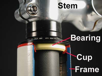 Figure 3. A head tube cross section of the common ZS headset