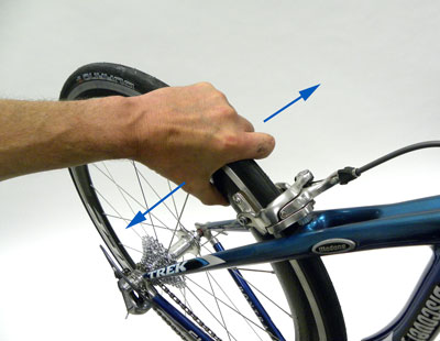 zipp-bearingck