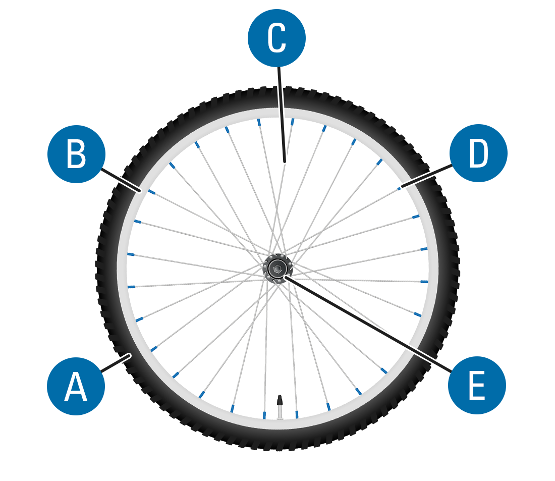Diagram of bicycle wheel calling out tire, rim, spokes, spoke nipples, and hub